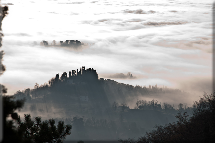 foto Colline di Romano d'Ezzelino nella Nebbia